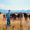 j_bar_k_cattle_company