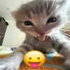 rintaroosns