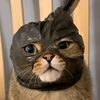 KingPF