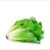 letucefruit