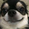 pandyuz