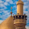 mohammed0091955