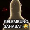 kucingj4wir