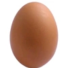 egg2989