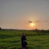 banu.hasna