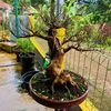 aslisunda763