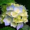 brahim.oubair