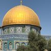 palestineking55