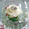 afrinsheikh151