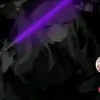 lee_raimi443