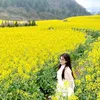 Du Lịch Lê Quyên