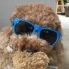 fozzie.yt