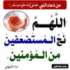 adamabdelhadimht