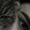 kisse.vy