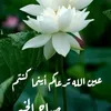 om.mustafa650