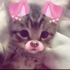 wikqq_00