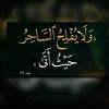 sb77_h