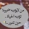 user7313656802788