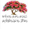 user887407960554