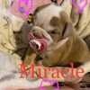 user2390230612