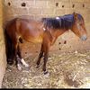 vane.ouattara