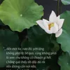 nguyen.quang.quy248