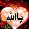 user38132531702816