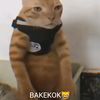 king_bakekok