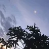 vtntlttvnhpv