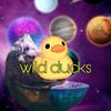 wild_duck_vr_game