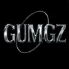 gu.mgzz