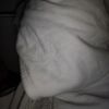 kefeq_