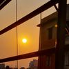 rupa14074