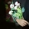 nzwayzz044