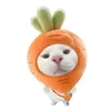 danthaibinh_17