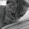 user1658037368246
