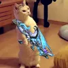 daihccanhsatt02