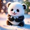 assma.rajawiya.32