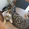 lindaharo_0417