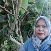 user3743127227361roslah