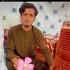shahnawaz798