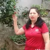 d.phuong73