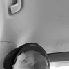 lonzgbp