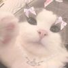 nanaaa_luvv6