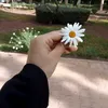 fatiiimaael
