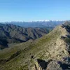 mazharafridi43