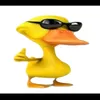 rijffjjj