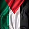 freepalestine6699467260