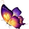 butterflyy.kissess3