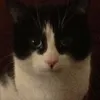 margaretreilly95